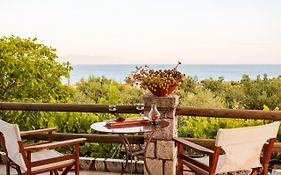 Petalidi Olive Garden Stone Villa
